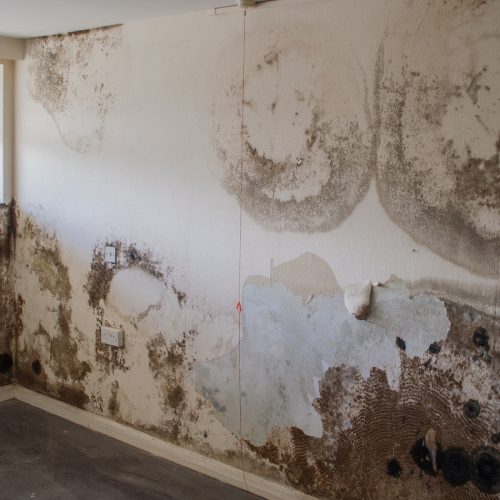 penetrating-damp